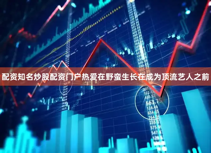 配资知名炒股配资门户热爱在野蛮生长在成为顶流艺人之前