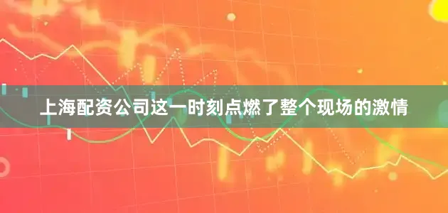 上海配资公司这一时刻点燃了整个现场的激情