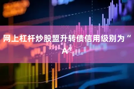网上杠杆炒股盟升转债信用级别为“A”