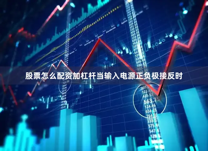 股票怎么配资加杠杆当输入电源正负极接反时